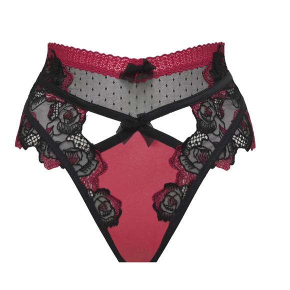 🔥HOST PICK 🔥 NWT For Love & Lemons 🍋 Ivy High-Waist Cheeky Panty - Picture 4 of 4